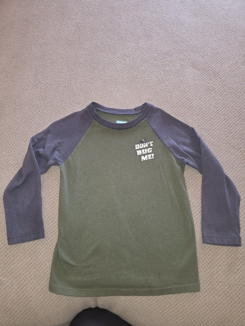 'Don't Bug Me' Long Sleeves 4T Green & Gray Shirt